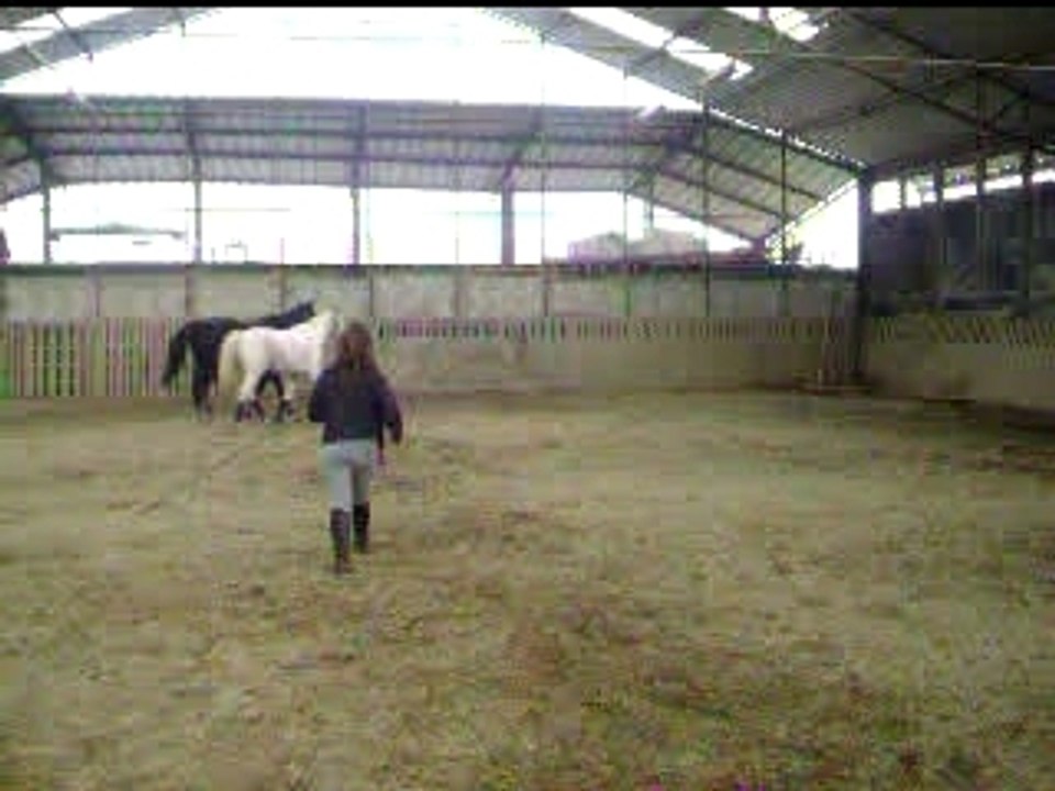 Lady et désir