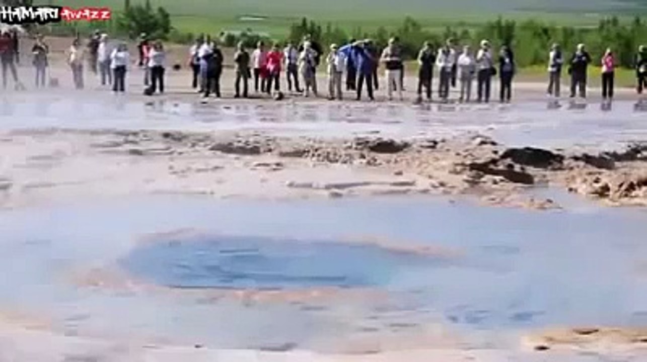 amazing miracle hay