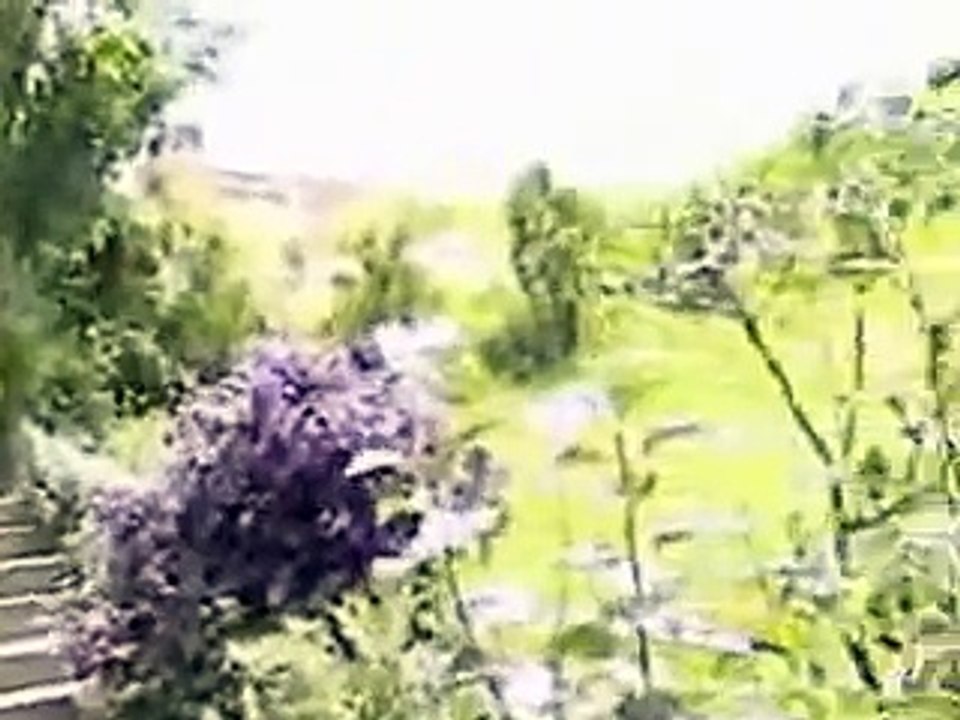 Starac Gavrilo tajnovidac PRVI DEO2