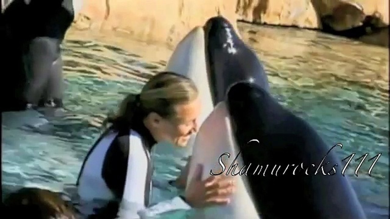 A Tribute To Dawn Brancheau