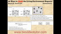 Living Environment Regents Review on Guard Cells   50 Ways to Pass the Living Environment Regents