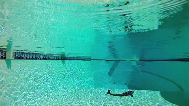 GoPro: HERO4 4K TEST (RAW FOOTAGE)