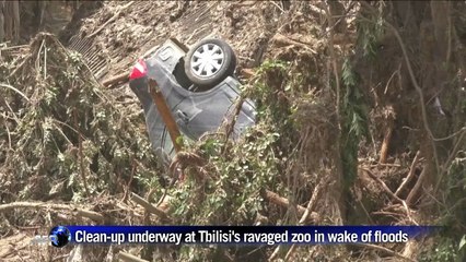 Clean-up underway at Tbilisi's devastated zoo in wake of floods