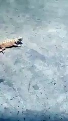 hahahahaaha D?syndication=228326