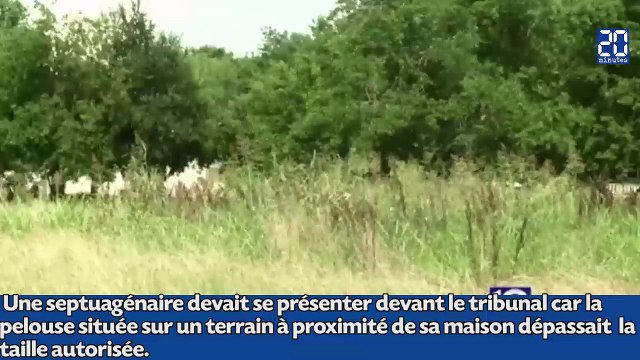 Quatre ados tondent la pelouse d’une inconnue de 75 ans pour lui éviter la prison