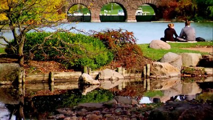 Why People Do their Paid Internship in Chicago?