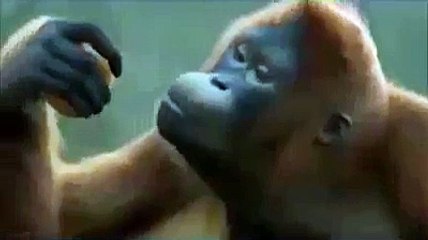 Gi Nwaz Go Funny Dance