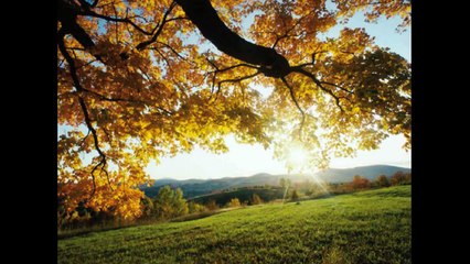 O SOLE MIO - VERSION EN ESPAÑOL - DR. CARLOS ALBA