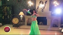 Very Hot Belly Dance at stage...HD Video