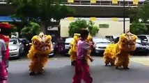 CHINESE LION Dance Gangnam Style