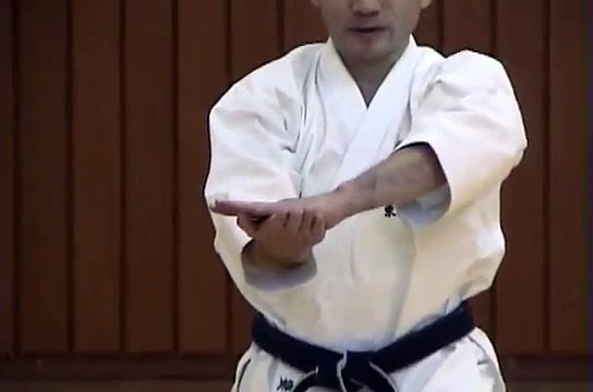 heian godan kata bunkai