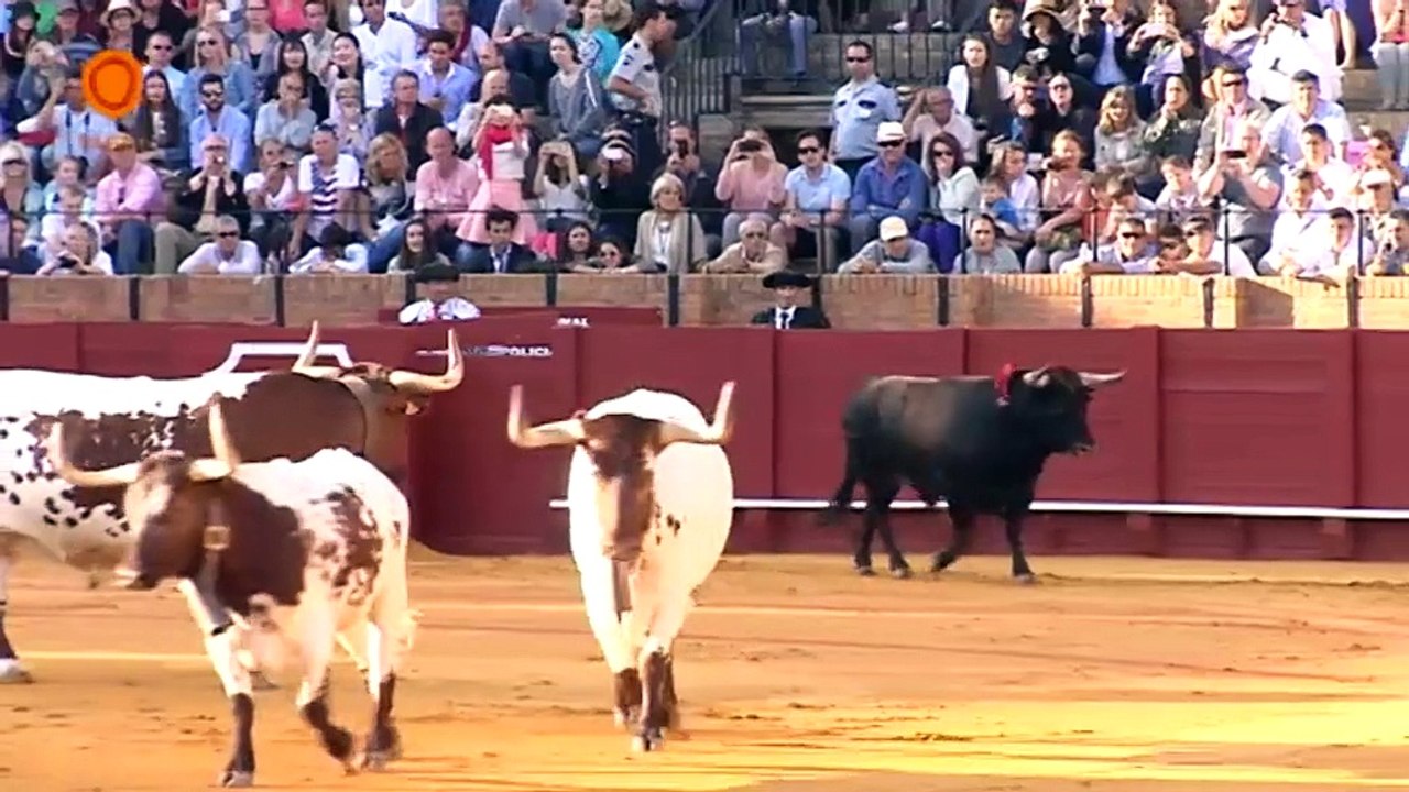 Novillada del 14 de junio de 2015 en la Maestranza de Sevilla