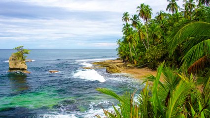 Combien coûterait la construction réelle de Jurassic Park ?