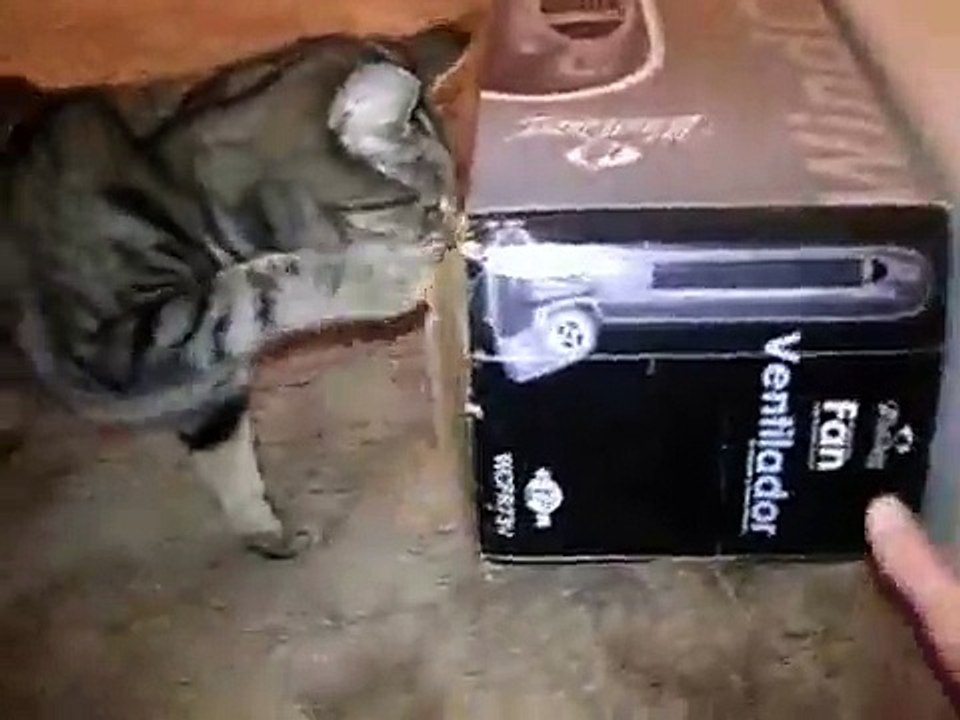 The Box