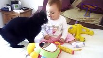 Funny cats and babies playing together Cute cat & baby compilation