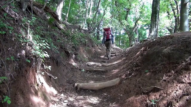 Van Halen - Dreams - Piano Cover