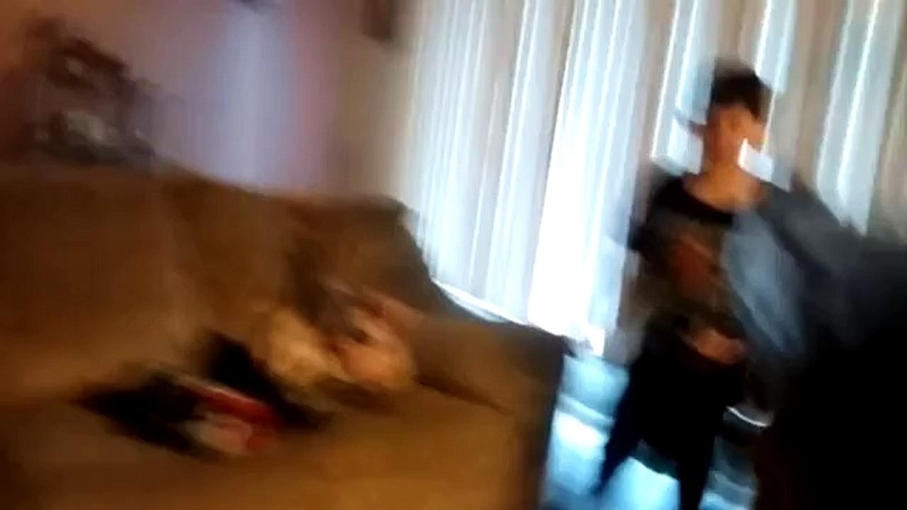 Zombie apocalypse real life