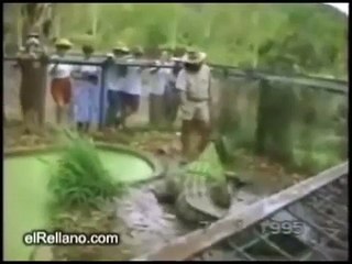 Los  Mejores Videos Para Morirse de Risa (Version Animales)