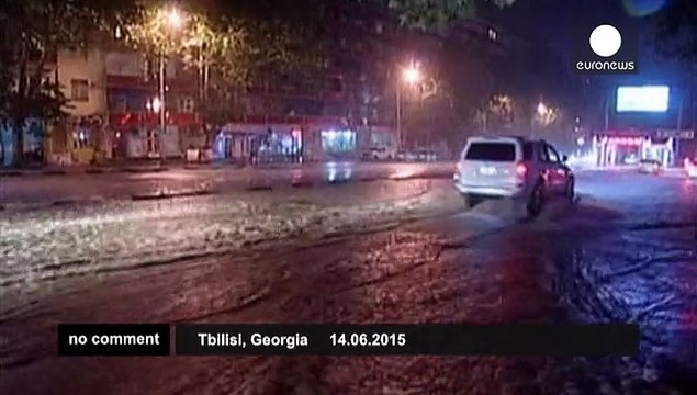 Animals escape zoo after heavy flooding in Tbilisi