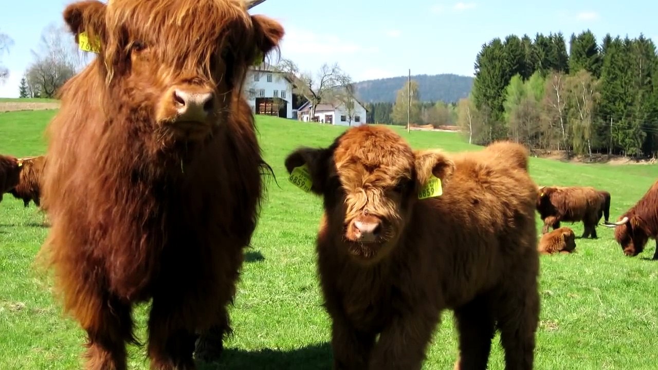 Jeff Rense & Texe Marrs - Zionist Supremacists