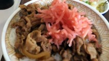 すき家に行ってきた。SUKIYA’S Beef Bowl【飯動画】 【Japanese Food】 【EATING】【食事動画】