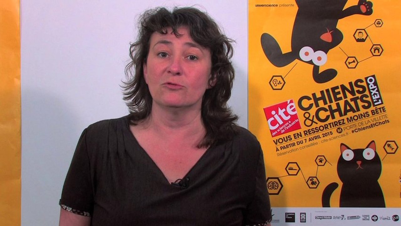 Pourquoi y a-t-il des lettres pour les prénoms des chiens selon les années ?