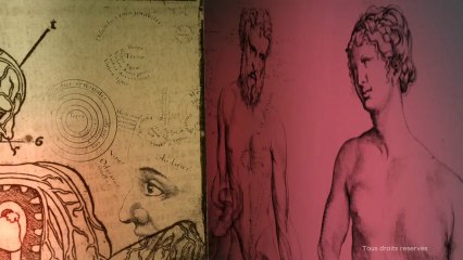 Voir le cerveau - Intro