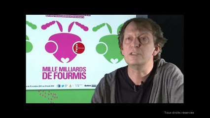 concepteur multimedia