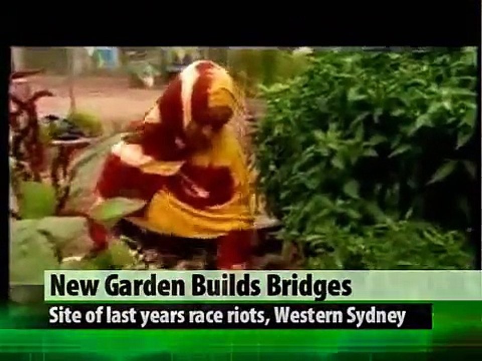 Future Network News
