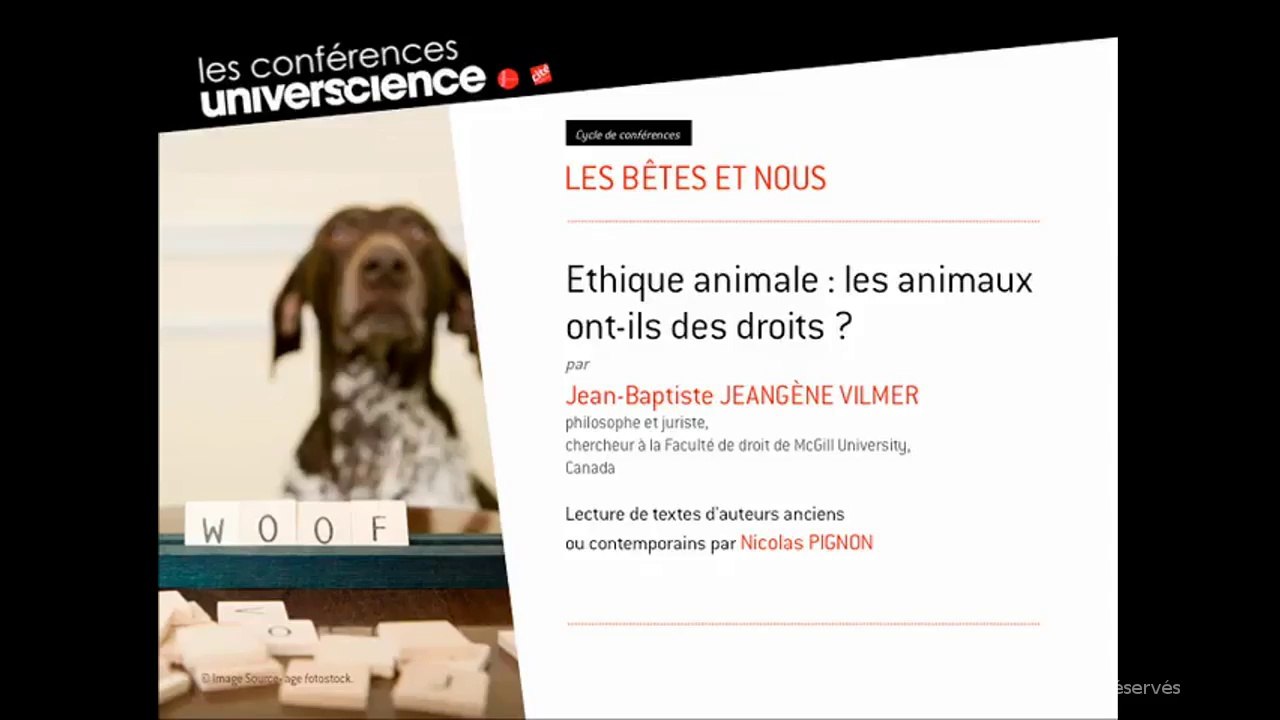 Ethique animale : les animaux ont-ils des droits ?