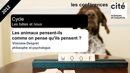 Les animaux pensent-ils comme on pense qu'ils pensent ?