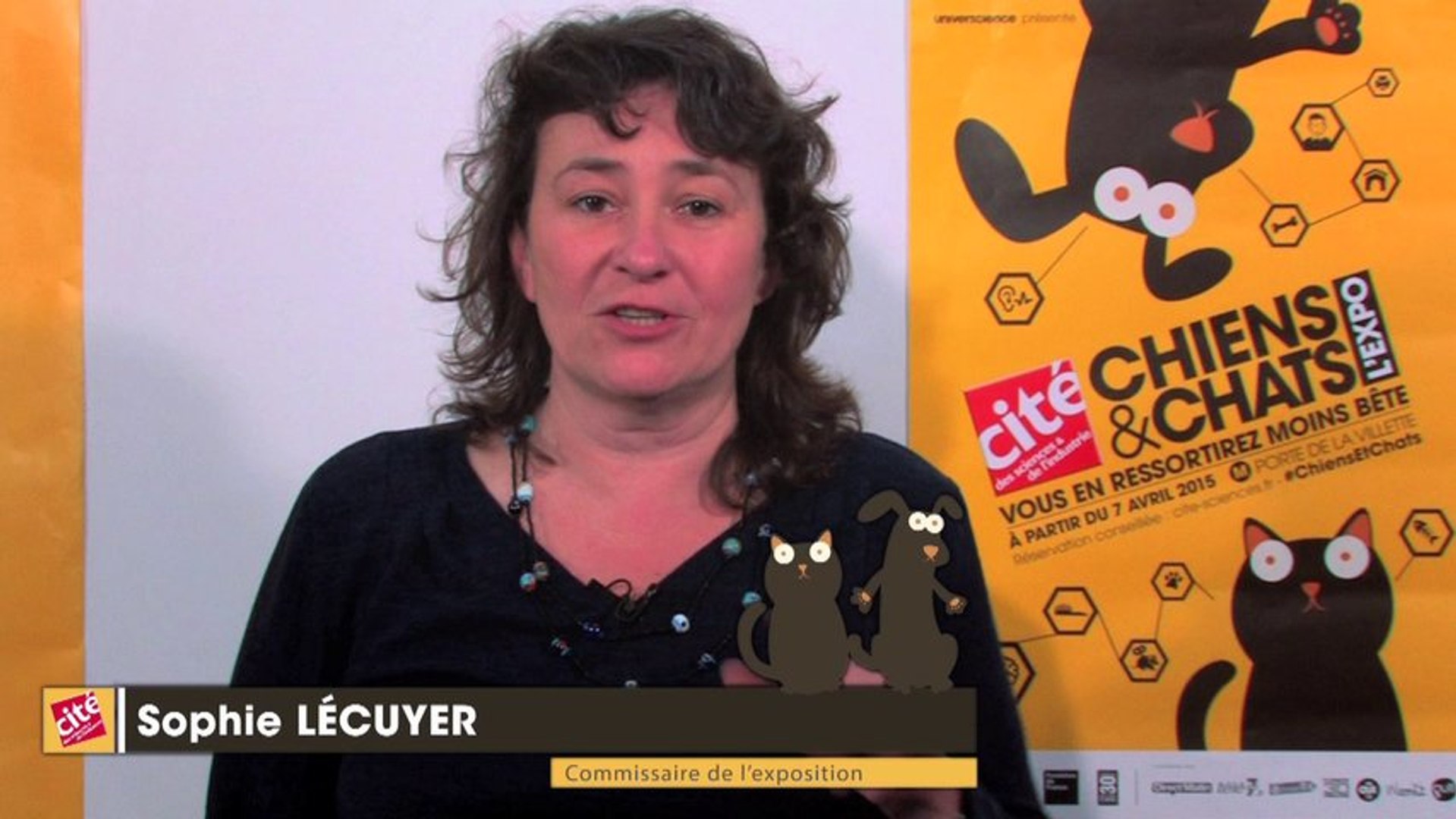 Pourquoi Un Chat Retombe T Il Toujours Sur Ses 4 Pattes Video Dailymotion