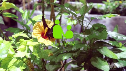 La Museum week à la Cité