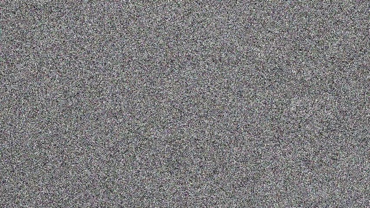 Chiens&Chats-nonymous.mov