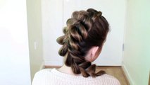 Cute And Easy Ponytail Hairstyle For School School