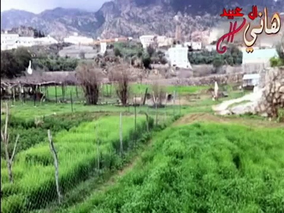 لعب شهري حزين على العود  قرية القمع قرية قذانه اخراج هاني ال عبيد