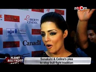 Sonakshi Sinha and Celina Jaitley fight for animal rights - Bollywood News