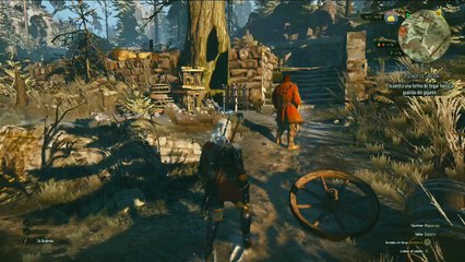 The witcher Wild hunt, parte 85, La locura de Udalryk