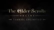 The Elder Scrolls Online Tamriel Unlimited - Trailer E3 2015