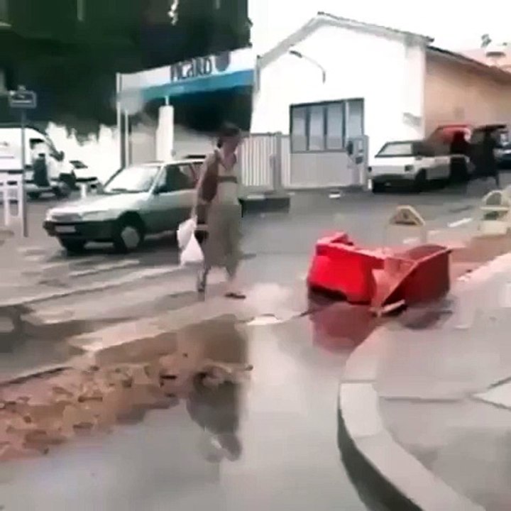 Cut Snake - Facebook