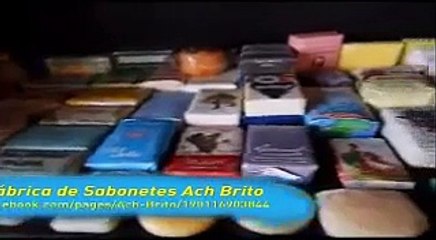 Reportagem do programa 'Panda Biggs' - Canal Panda