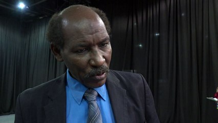 Sommet de l'UA: Béchir quitte Johannesburg sans être inquiété