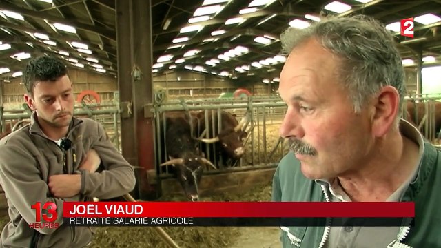 Filière bovine : la détresse des éleveurs
