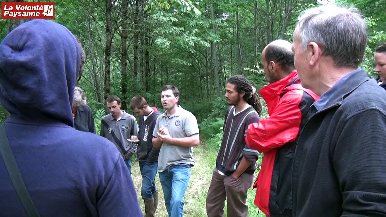 Sénergues : bovins viande et forêt paysanne