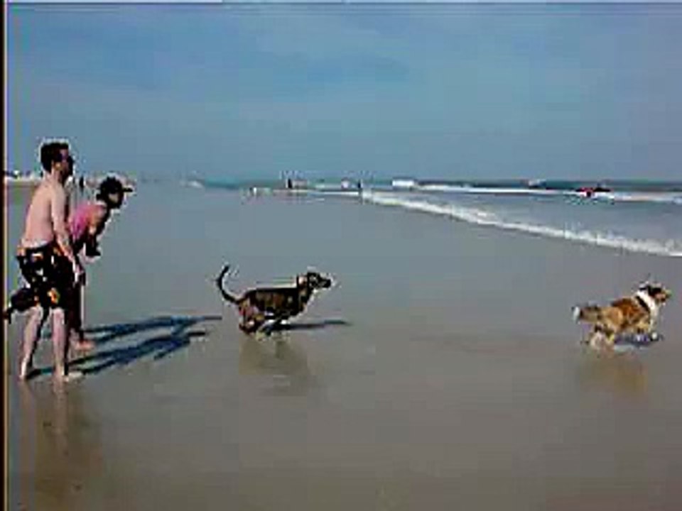Keegan and Gulliver at the beach