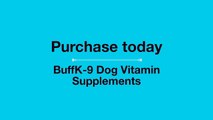 Dog Supplements & Dog Vitamins for Performance