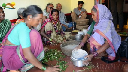 Permaculture Explained: A Sustainable Approach to Agriculture 🌱