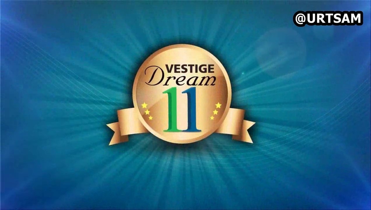 Vestige Dream 11 Years English