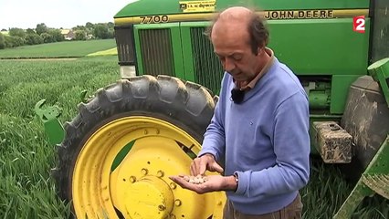 La bataille de Waterloo, l'une des plus grandes défaites françaises