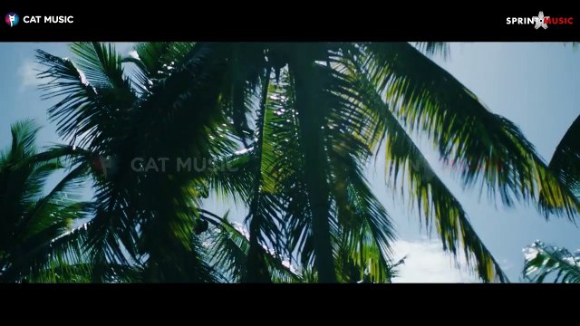 Hevito feat. Gipsy Casual & Ralflo - Negra Linda (Official Video)